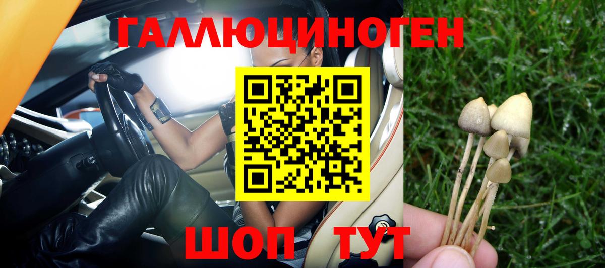 Галлюциногенные грибы Magic Shrooms Новосибирск
